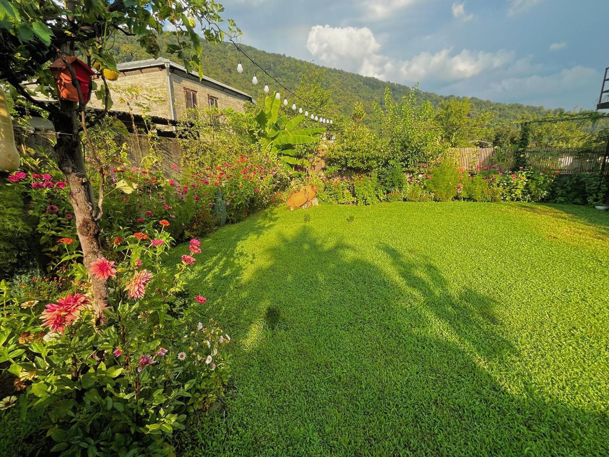 Mountain View Hotel Lagodekhi Exterior photo